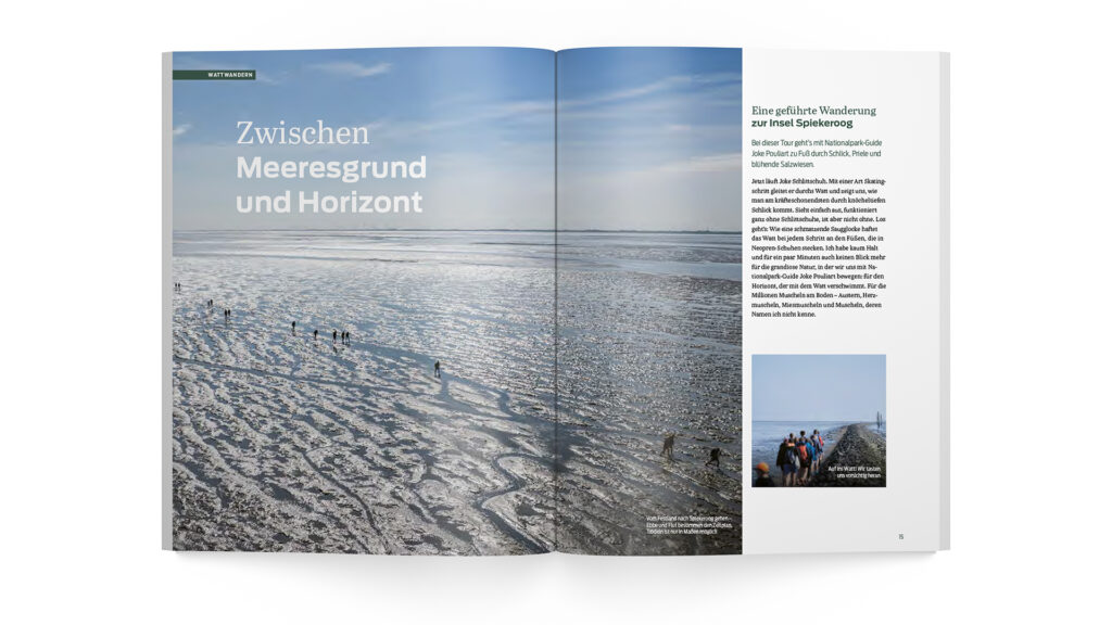 Niedersachsen_Watt_1